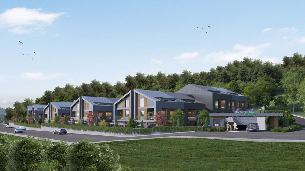 View of the compound zoomed out showing the forest in the background