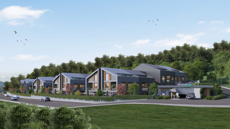 View of the compound zoomed out showing the forest in the background