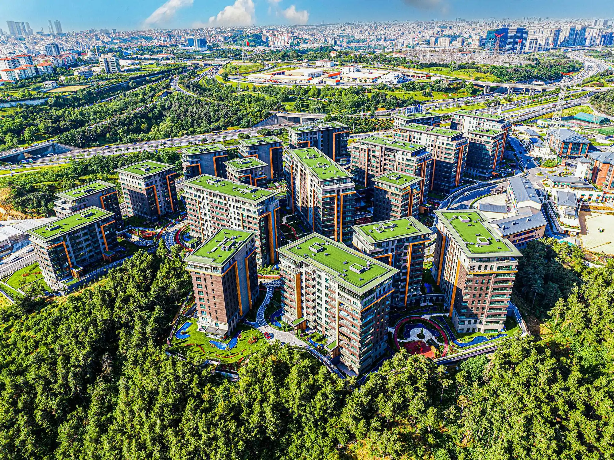Aerial view