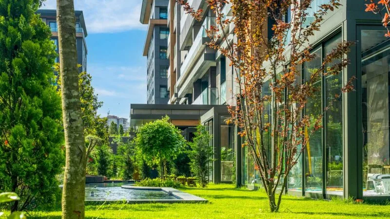 Landscaping