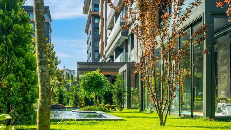 Landscaping