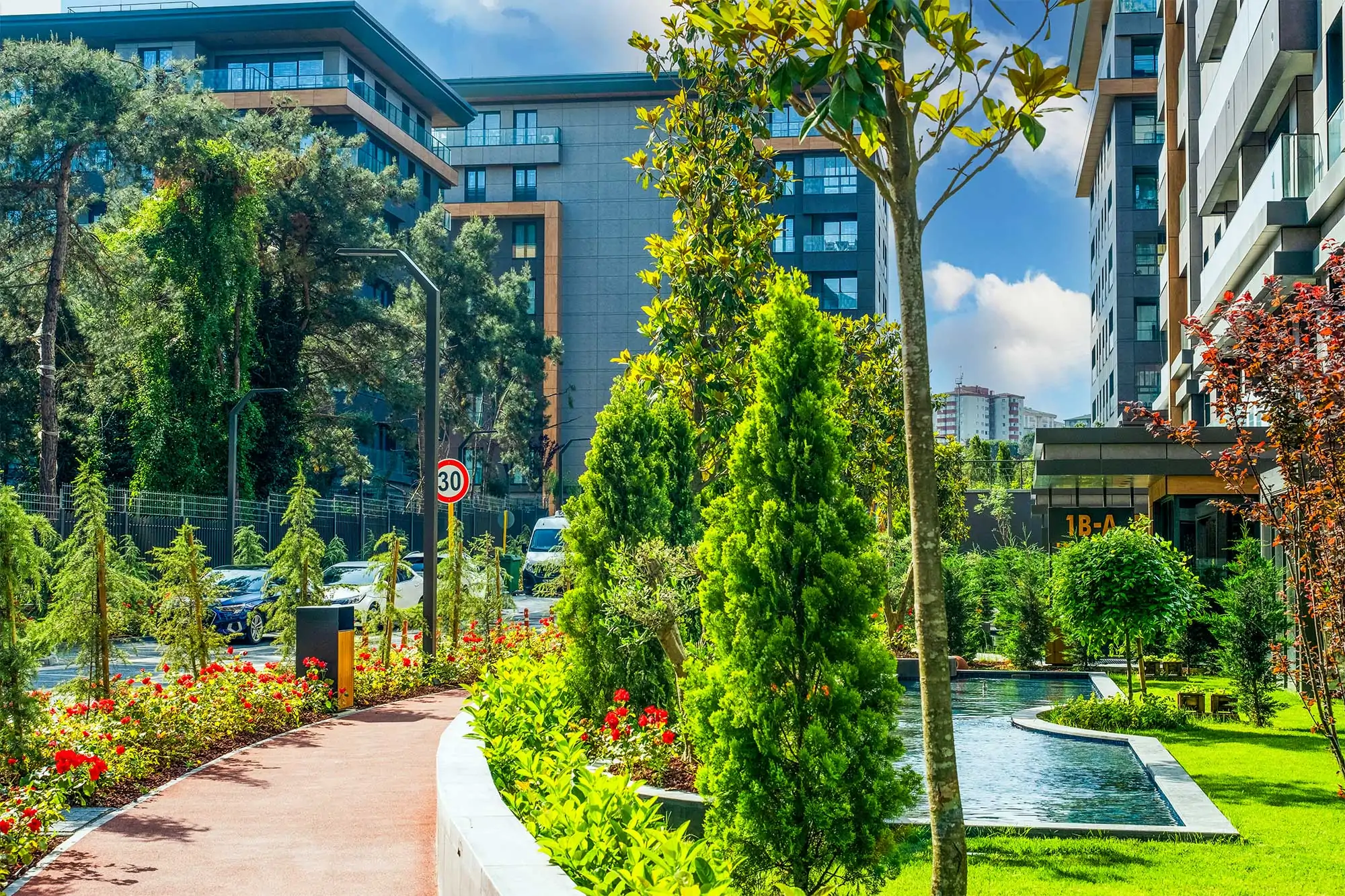 Landscaping
