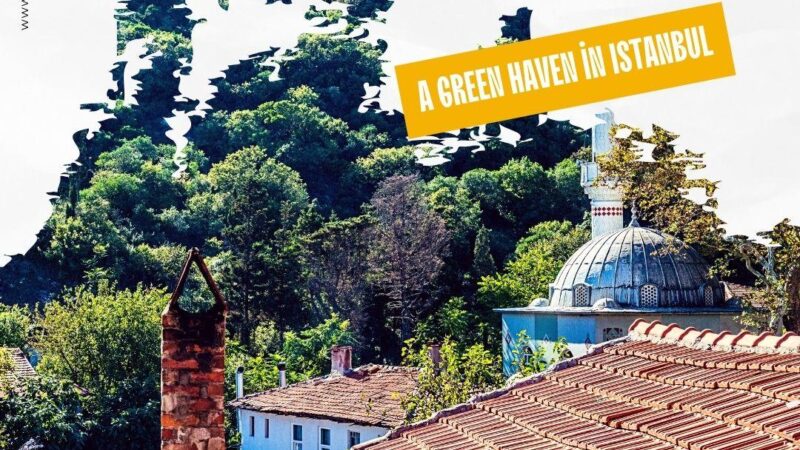 A mosque and home amongst a forest.